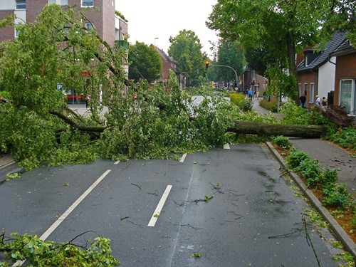 tress down on city street after tornado tress down on city street after tornado