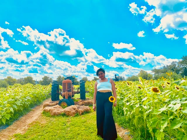 Alyce H Sunflower farm