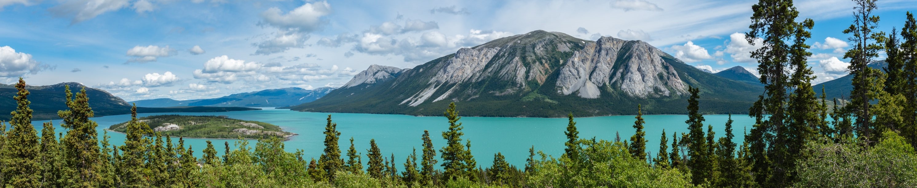 beautiful pano of lush green wilderness and mountain in alaska beautiful pano of lush green wilderness and mountain in alaska