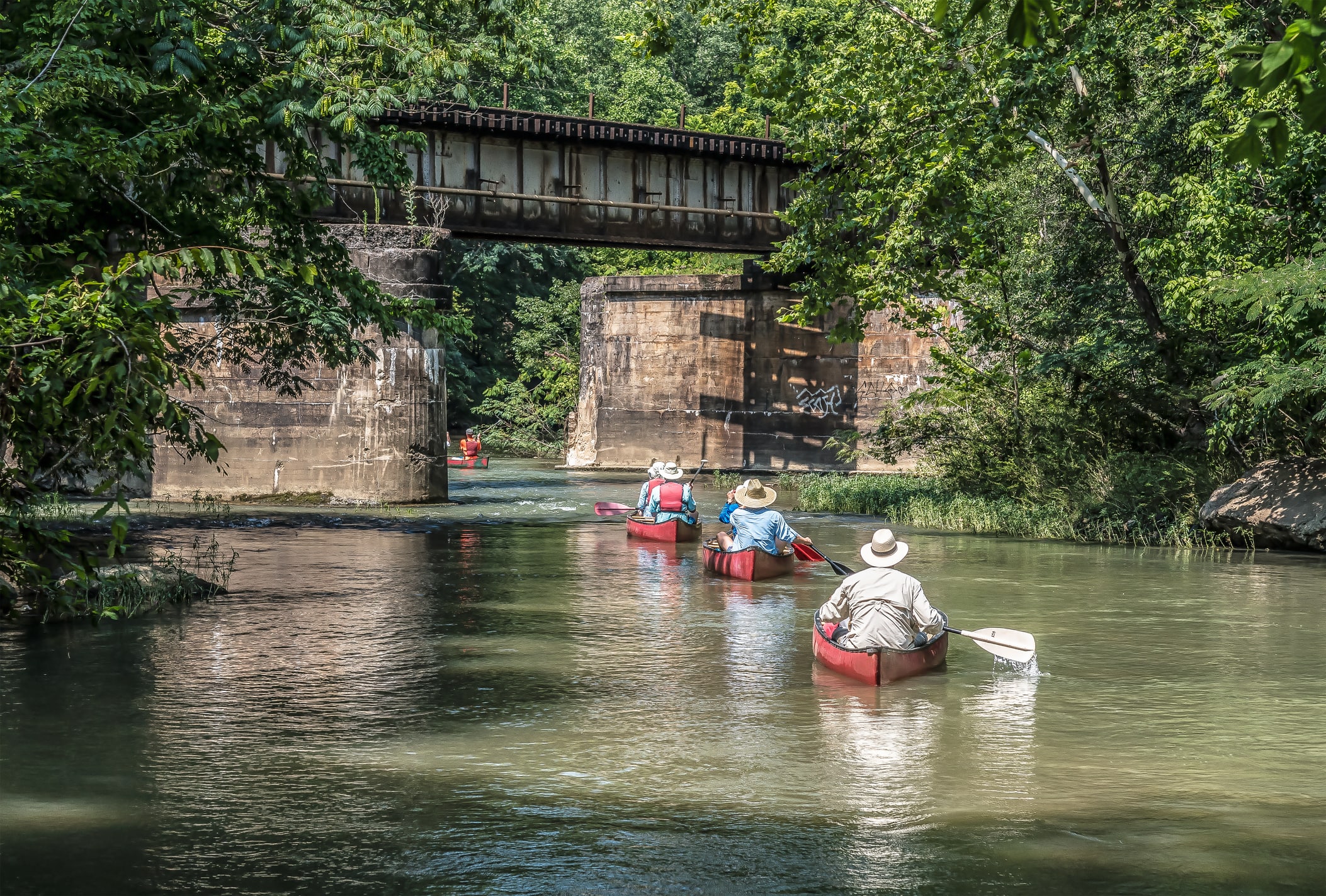 family paddle boarding on river in alabama family paddle boarding on river in alabama