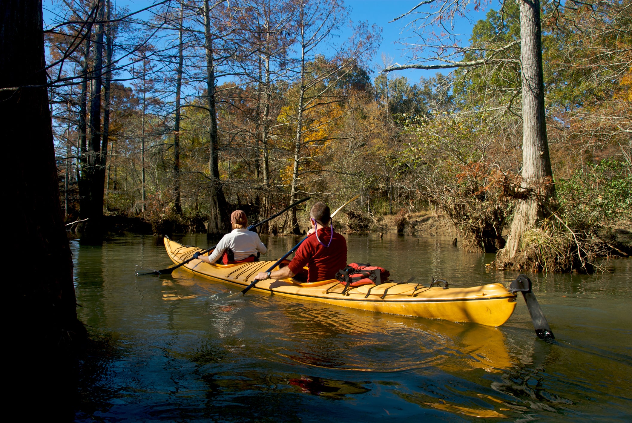family kayaking on river in arkansas family kayaking on river in arkansas