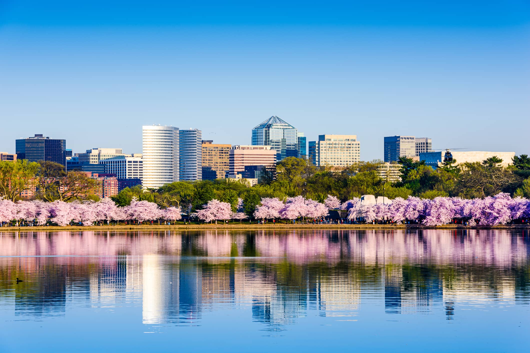 Washington DC cityscape Washington DC cityscape