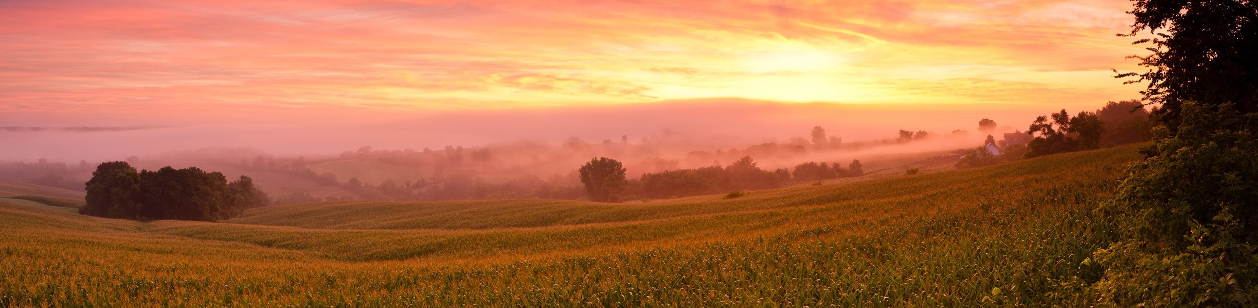 Red sky over Iowa cornfield Red sky over Iowa cornfield