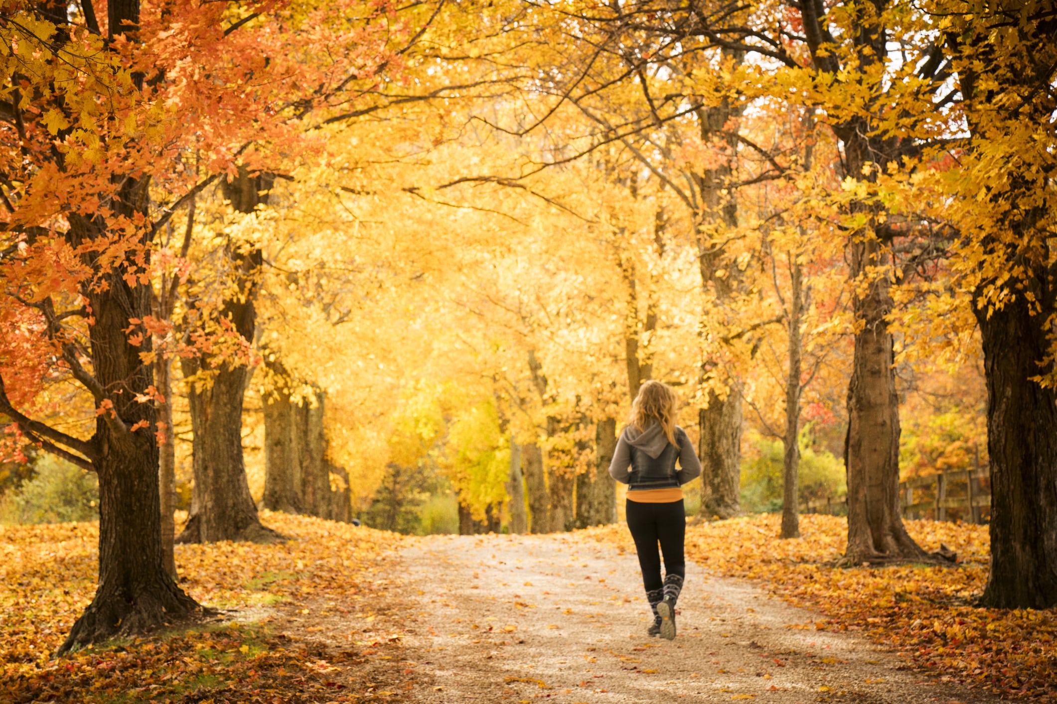 walking down a pretty country lane in autumn in indiana walking down a pretty country lane in autumn in indiana