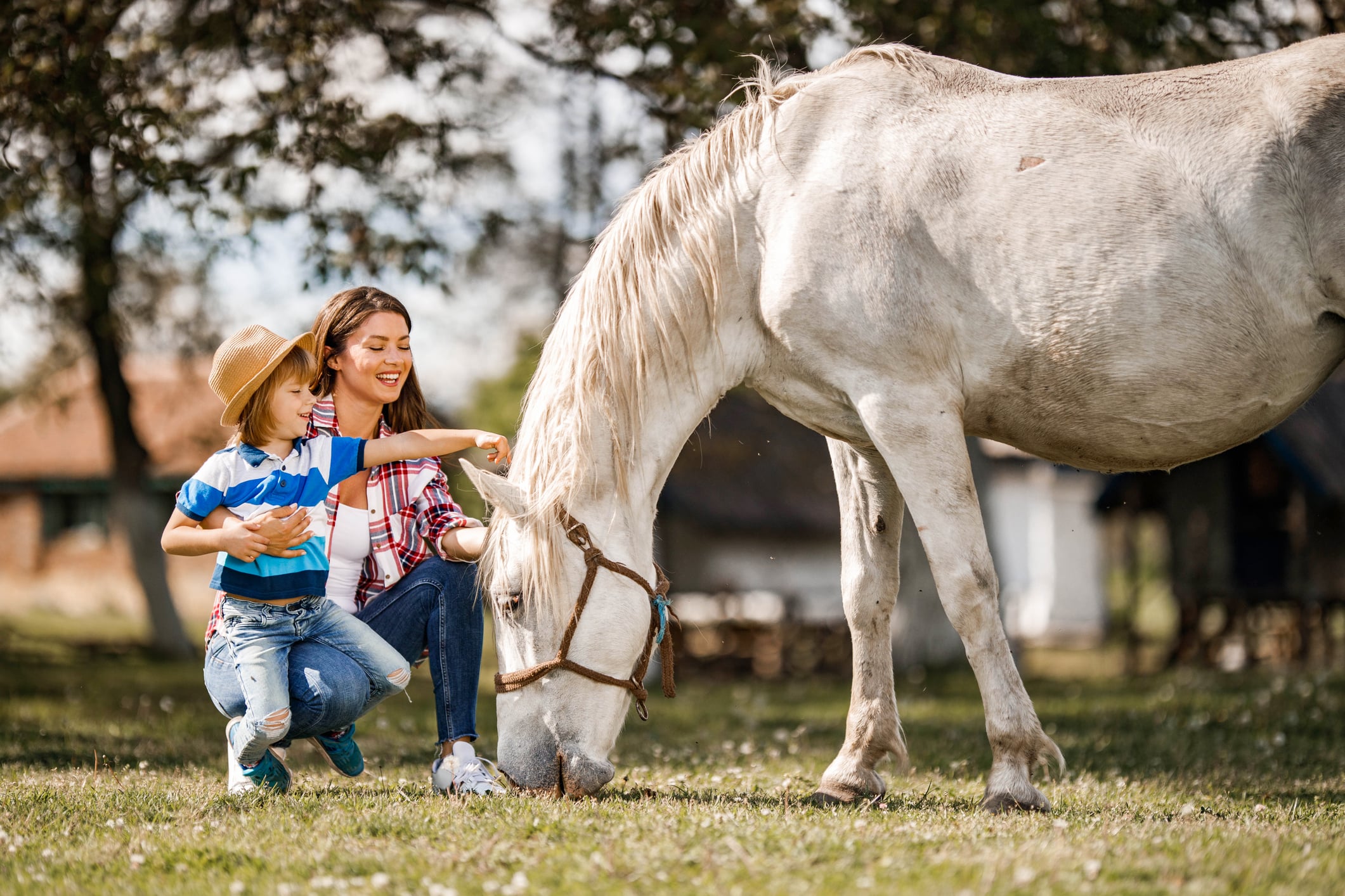 mother and child petting horse in kentucky mother and child petting horse in kentucky