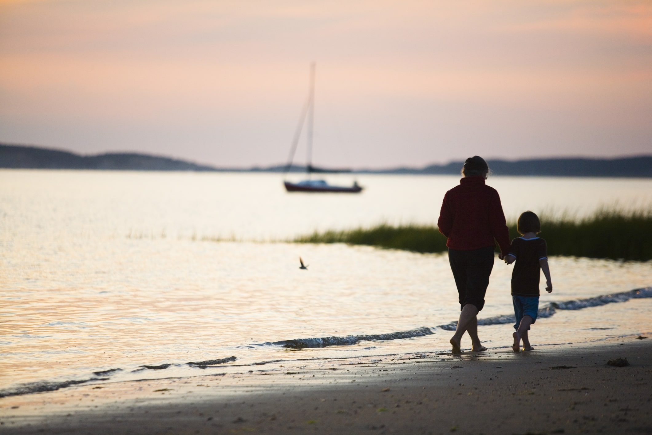 parent and child walking along a massachusetts beach parent and child walking along a massachusetts beach