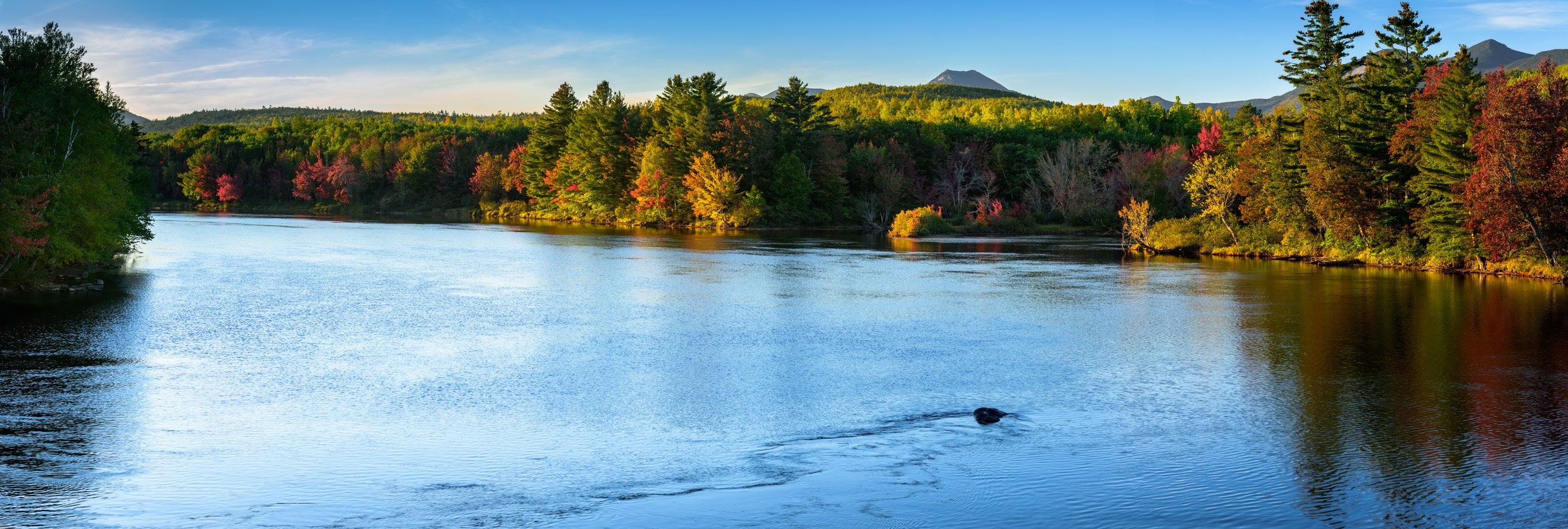 allied-travel-jobs-in-maine-make-up-to-2700-week-club-staffing