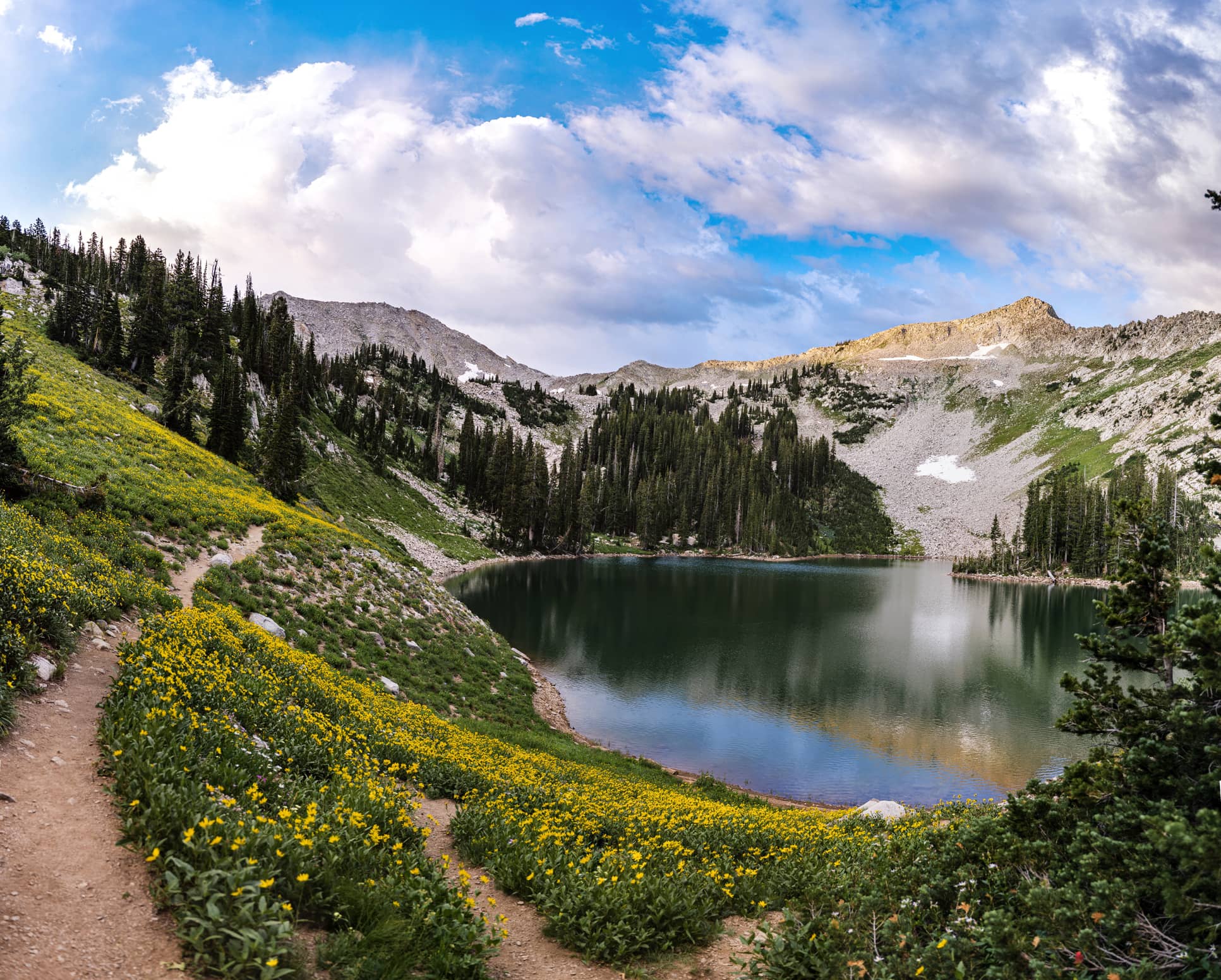Sunrise and Wildflowers at Red Pine Lake Sunrise and Wildflowers at Red Pine Lake